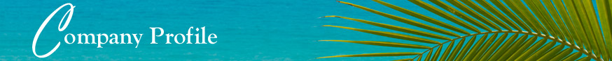 About Seaside Properties