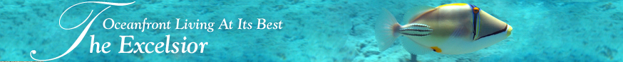 The Excelsior - Luxury Oceanfront Condominiums in Boca Raton, Florida