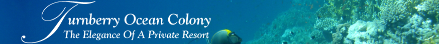 Turnberry Ocean Colony - Luxury Oceanfront Condominiums in Sunny Isles Beach, Florida