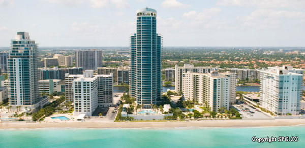 Ocean Palms