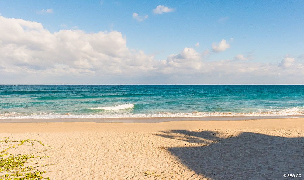 Pristine Private Beaches at The Oasis, Luxury Oceanfront Condos in Palm Beach, Florida 33480.