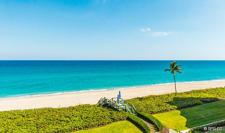 Stunning Direct Ocean Views from Residence 3-501 For Sale at Oasis, Luxury Oceanfront Condos in Palm Beach, Florida 33480.