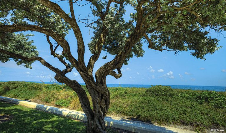 Views at 4001 North Ocean, Luxury Oceanfront Condominiums Located at 4001 North Ocean Boulevard, Gulf Stream, FL 33483 