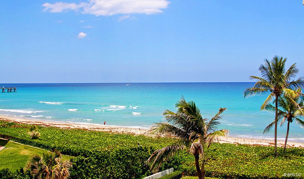 Enjoy the Sun and sand at Oasis, Luxury Oceanfront Condos in Palm Beach, Florida 33480