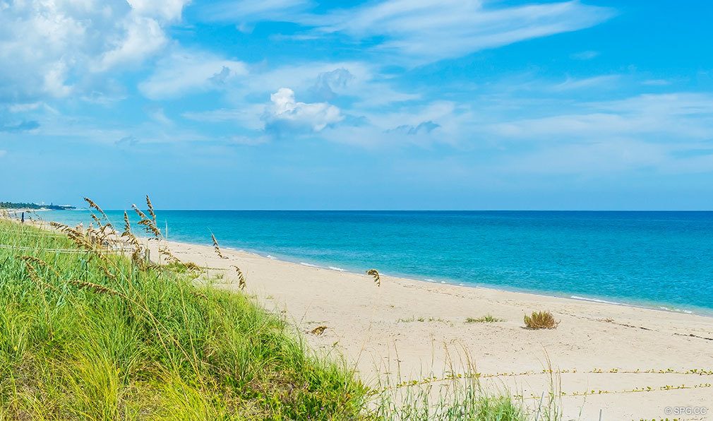 Ocean Views from The Stratford, Luxury Oceanfront Condos in Palm Beach, Florida 33480