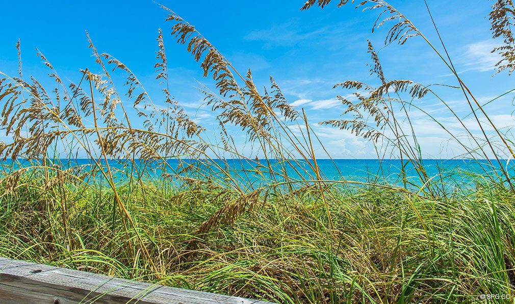 Beautiful Beachfront Property at The Stratford, Luxury Oceanfront Condos in Palm Beach, Florida 33480