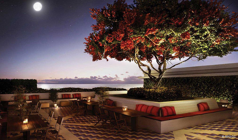 Expertly Manicured Grounds at Apogee Beach, Luxury Oceanfront Condos in Hollywood Beach, Florida 33019