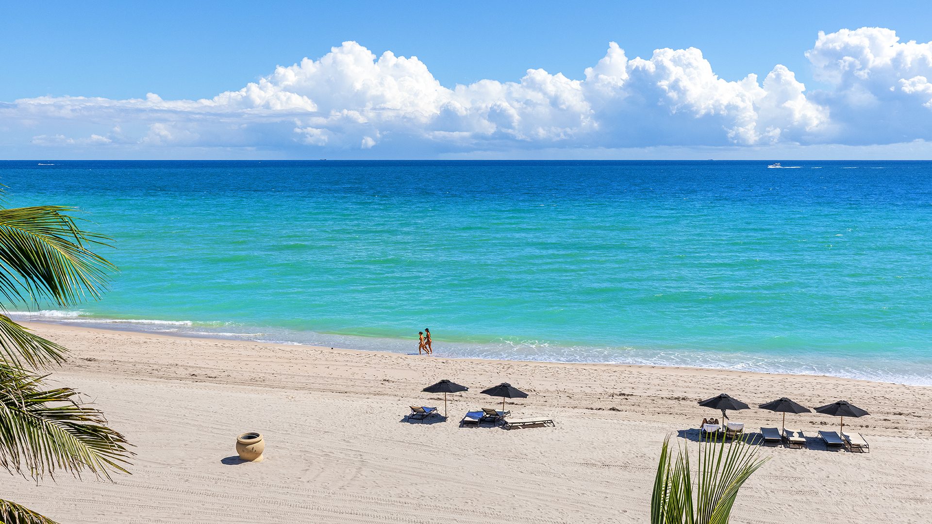 Sage Beach Hollywood View 1