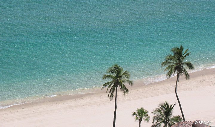 Ocean View at Luxury Oceanfront Residence 21D, Tower II, The Palms Condominiums, 2110 North Ocean Boulevard, Fort Lauderdale Beach, Florida 33305, Luxury Seaside Condos