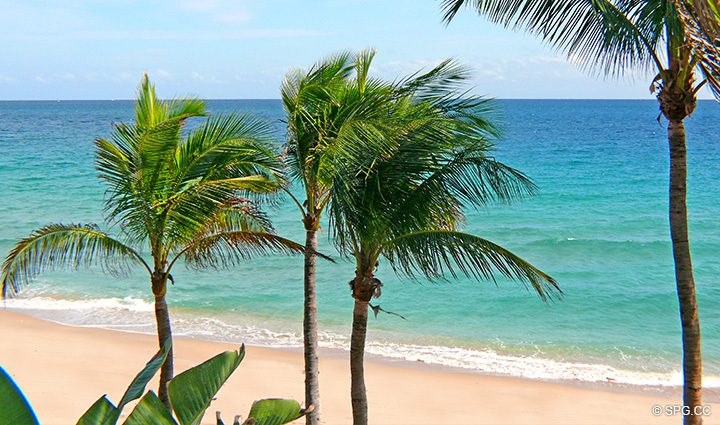 View from Terrace at Luxury Oceanfront Residence II at The Palms Condominium located in Fort Lauderdale 33305, Luxury Waterfront Condos