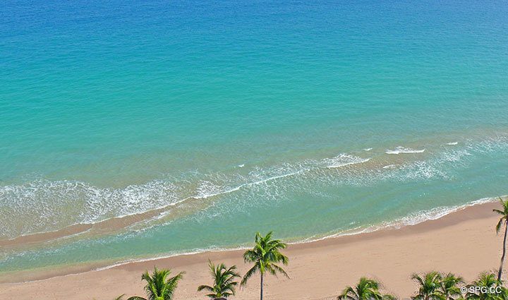 Ocean View at Luxury Oceanfront Residence 16B, Tower II, The Palms Condominium, 2110 North Ocean Boulevard, Fort Lauderdale, Florida 33305, Luxury Seaside Condos