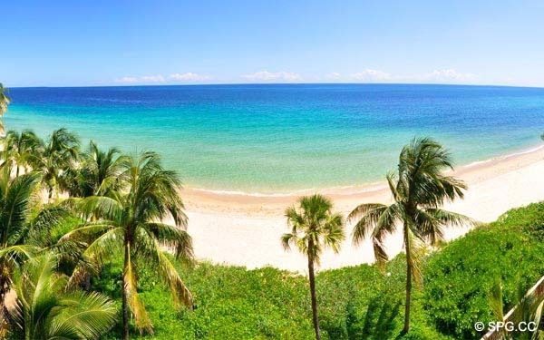 Terrace View - Oceanfront Villa VI, The Palms luxury oceanfront condo, 2130 North Ocean Boulevard, Fort Lauderdale Beach, Florida 33305