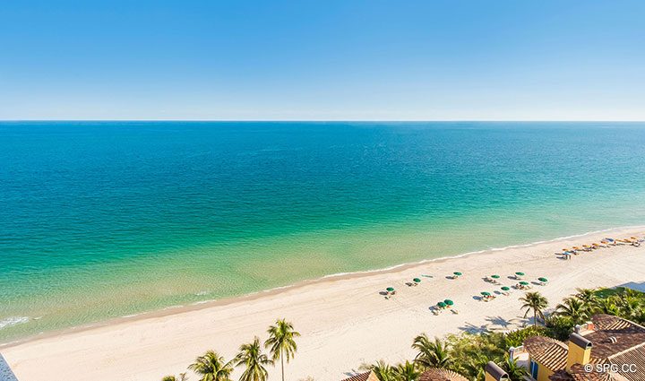 Eastern Terrace View from Residence 17B, Tower II at The Palms, Luxury Oceanfront Condos in Fort Lauderdale, Florida 33305.
