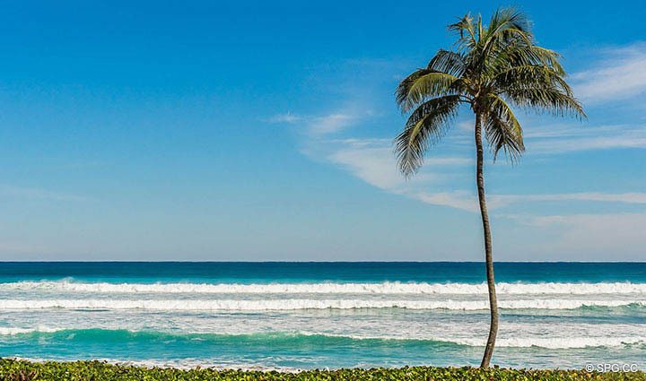 Beautiful Ocean View from Residence 1-101 at Oasis, Luxury Oceanfront Condos in Palm Beach, Florida 33480.