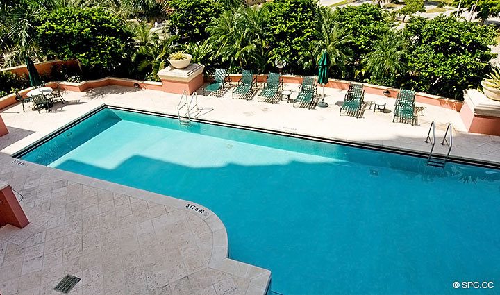 View of Pool from Terrace in Residence 6D, Tower II at The Palms, Luxury Oceanfront Condos. 2110 North Ocean Blvd. Fort Lauderdale, Florida 33305