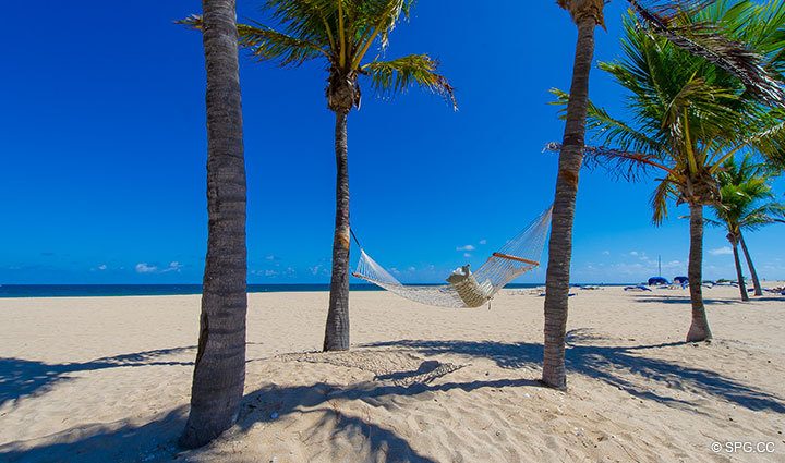 Beach at Luxury Oceanfront Residence 248, The Oceanage Condominiums, 1650 South Ocean Lane, Fort Lauderdale, Florida 33316