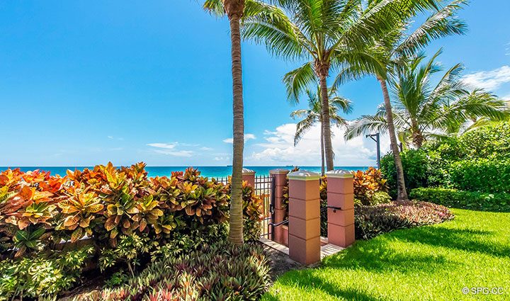 Private Beachfront Garden for Oceanfront Villa 5 at The Palms, Luxury Oceanfront Condominiums Fort Lauderdale, Florida 33305