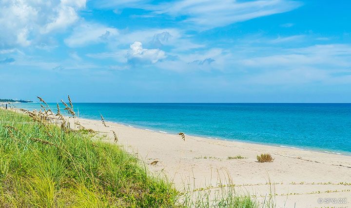 Превосходное видом на океан Недвижимость от Residence R1C1 в Стратфорд, люкс с видом на океан кондоминиумов в Палм-Бич, штат Флорида 33480.