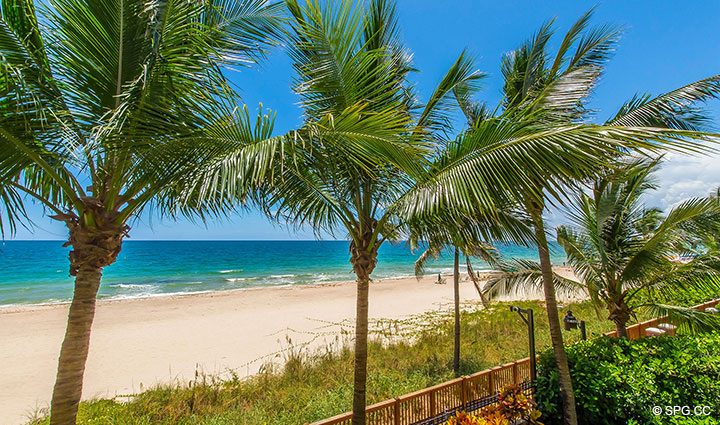 Gorgeous Beach Views from Oceanfront Villa 5 at The Palms, Luxury Oceanfront Condominiums Fort Lauderdale, Florida 33305