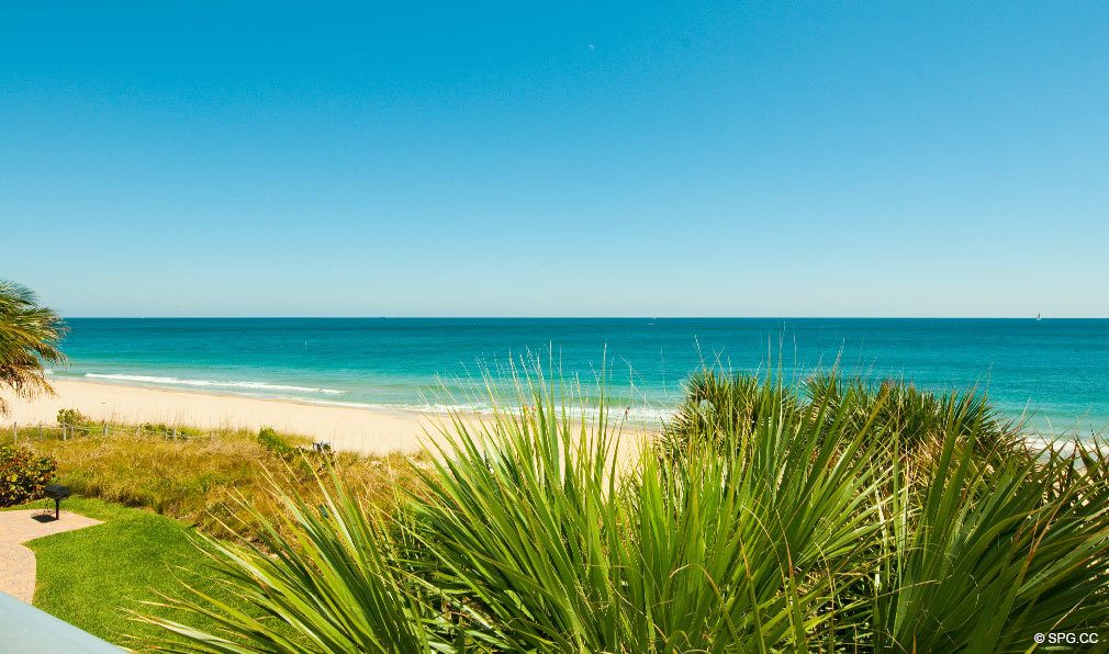 Beach at Aquazul, Luxury Oceanfront Condominiums Located at 1600 South Ocean Boulevard, Lauderdale-by-the-Sea, FL 33062